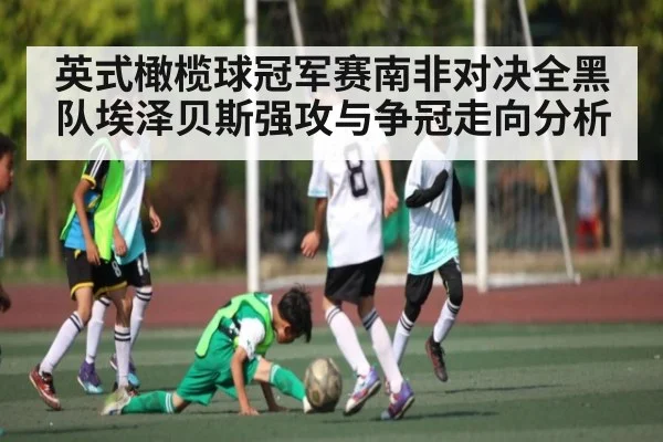 英式橄榄球冠军赛南非对决全黑队埃泽贝斯强攻与争冠走向分析 | NG28