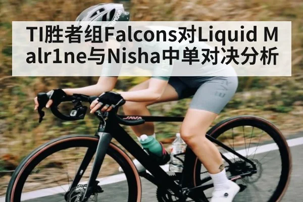 TI胜者组Falcons对Liquid Malr1ne与Nisha中单对决分析 | NG28